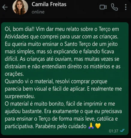 Print de WhatsApp: Camila Freitas conta que as crianças se distraíam quando ela só explicava, e que o material visual resolveu